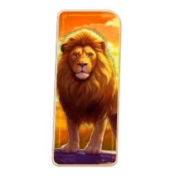 Lion
Safari